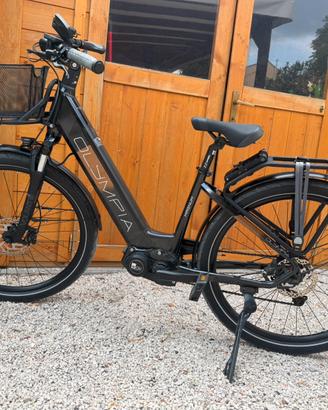 Bici elettrica e-bike Olympia Magnum