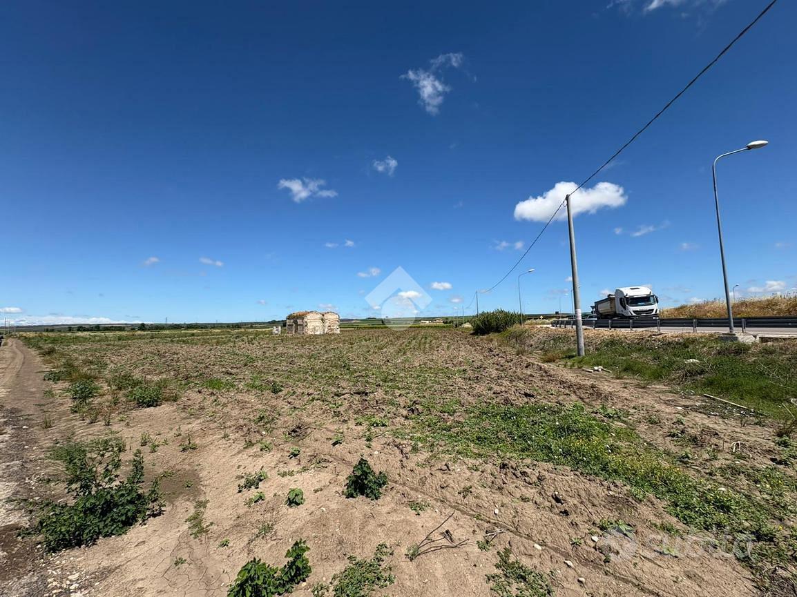 TER. AGRICOLO A SAN SEVERO - Vista 2