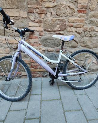 bicicletta per ragazzina 