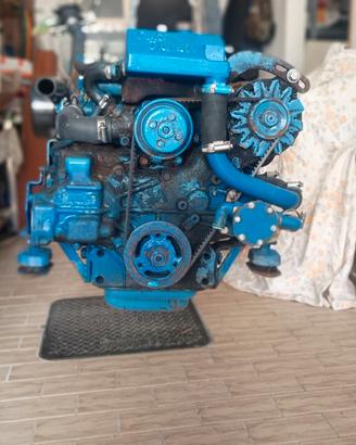 motore marino diesel entrobordo