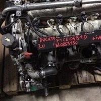 Motore ducato 3.0 f1ce0481d