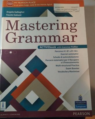 Mastering Grammar