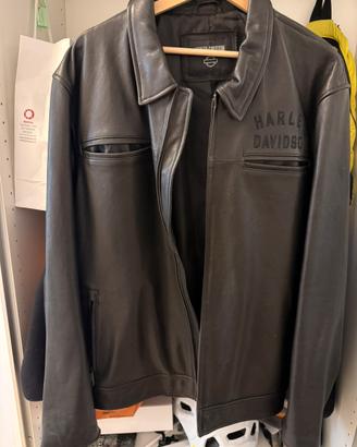 Giubotto pelle harley Davidson priginale