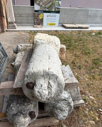 Paracarri
