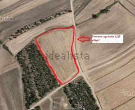 Terreno agricolo Sestu