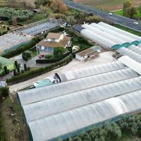 CAPANNONE A CERVETERI