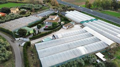 CAPANNONE A CERVETERI