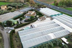 CAPANNONE A CERVETERI