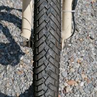 Bicicletta a 3 ruote con pedalata assistita