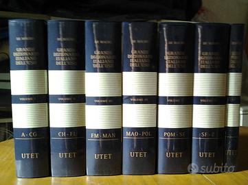Dizionario italiano dell'Uso edizioni UTET