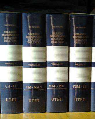 Dizionario italiano dell'Uso edizioni UTET