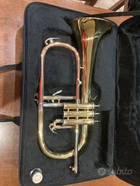 Flicorno soprano