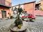 Immagine 12