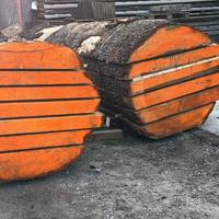 Tavole cedro del libano