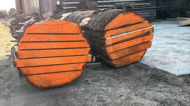 Tavole cedro del libano