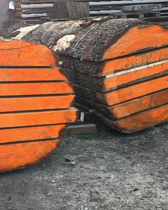 Tavole cedro del libano