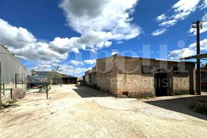 Magazzino Avola [Cod. rif 3307882VCG]