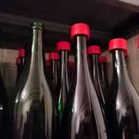 350 Bottiglie per vino