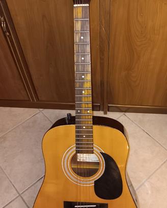 Chitarra folk