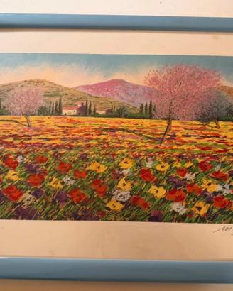 Serigrafia d’autore, campo dei papaveri