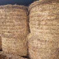 Balloni fieno trifoglio e loietto