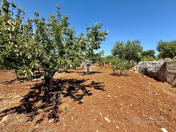 TER. AGRICOLO A MONOPOLI