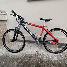 bicicletta per ragazzi 