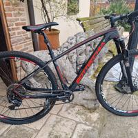 bottecchia carbonio TG.(S)