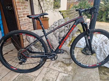 bottecchia carbonio TG.(S)