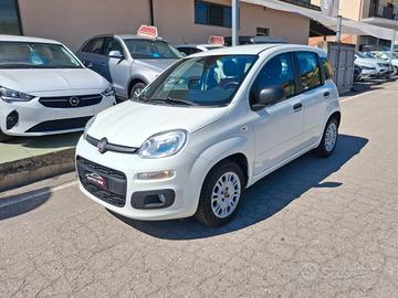 Fiat Panda 1.2 Benzina - 2017