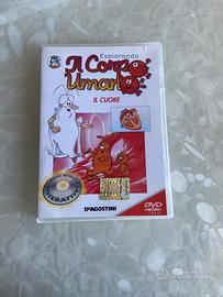 Dvd Esplorando il Corpo Umano