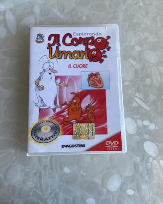 Dvd Esplorando il Corpo Umano