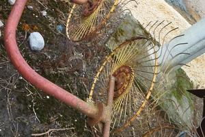 Ranghinatore 4 stelle