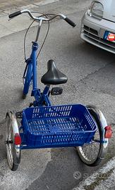 Bicicletta a 3 ruote