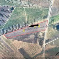 Terreno Contrada Giambascio (Rif.1704)