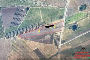 Terreno Contrada Giambascio (Rif.1704)