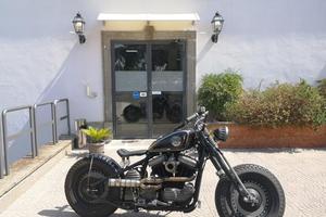 HARLEY-DAVIDSON Sportster 883 BRUSHED ARMON RATE A