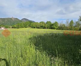 Terreno Agricolo Cumiana [Cod. rif 3145023VRG]