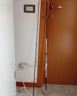 Canna spinning NOMURA Isei Professional