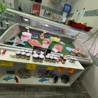Vetrina espositiva refrigerata elettrica