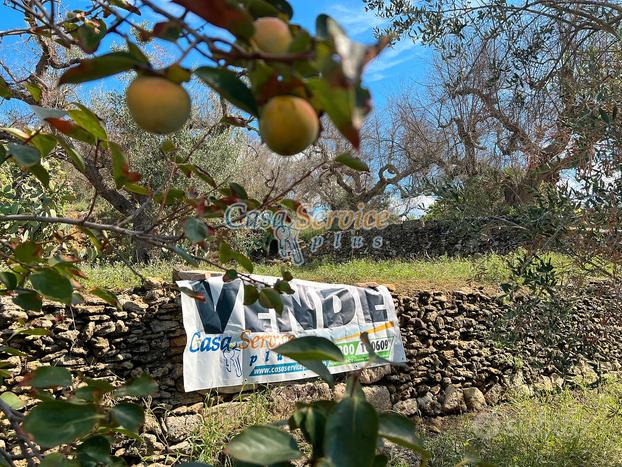 Terreno edificabile a due passi dal centro