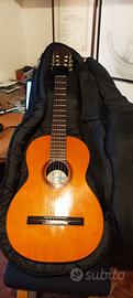 Chitarra Di Giorgio Signorina 16 1976