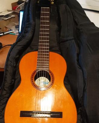 Chitarra Di Giorgio Signorina 16 1976