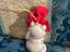 Immagine 3