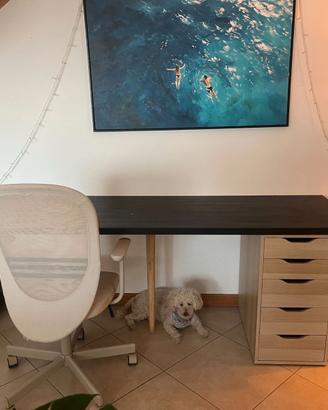 SCRIVANIA IKEA LAGKAPTEN / ALEX