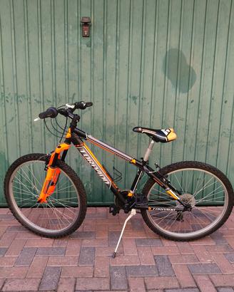 Mountain Bike Torpado 26" – Buone condizioni