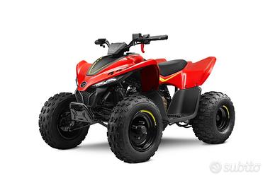 Cf Moto Cforce 110cc