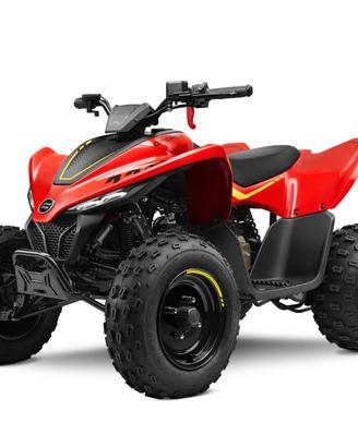 Cf Moto Cforce 110cc