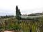 Immagine 24