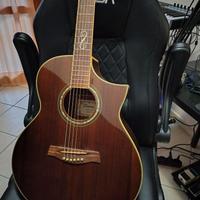 Ibanez EW20WNE NT
